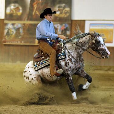 Boemil Twin Topleus wins Aia Reining Open Maturity