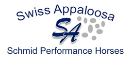 Swiss Appaloosa - Schmid Performance Horses